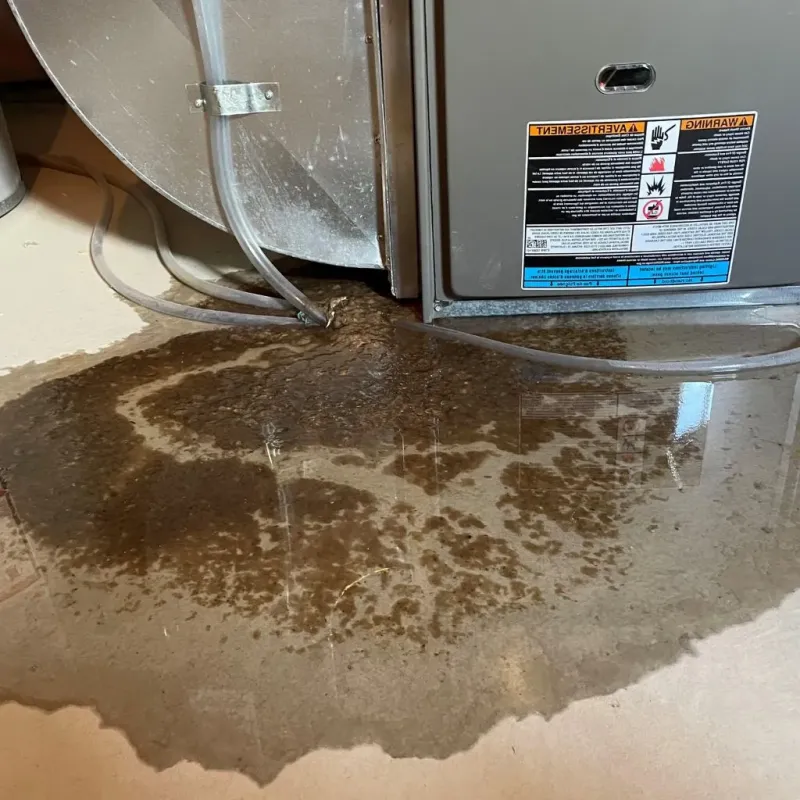 Pipe Burst and Leak Restoration in Tuftonboro, NH
