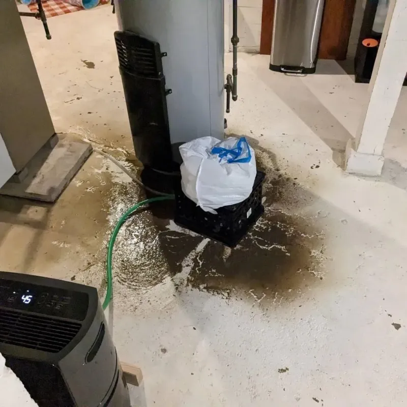 Sewage Backup Cleanup Service in Tuftonboro, NH